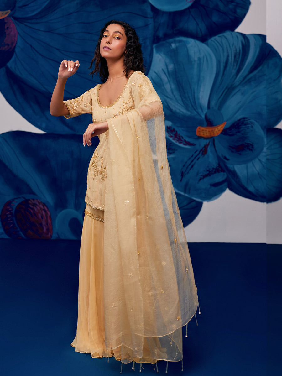 SEREN GOLD SHARARA SET