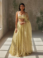 Load image into Gallery viewer, Ethereal Green Silk Organza Lehenga Set
