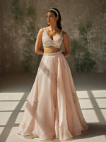 Load image into Gallery viewer, Pristine Silk Organza Lehenga Set
