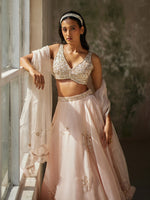 Load image into Gallery viewer, Pristine Silk Organza Lehenga Set
