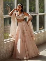 Load image into Gallery viewer, Pristine Silk Organza Lehenga Set
