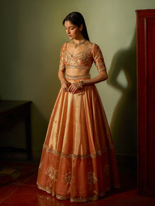 Light Salmon Tissue Lehenga Set