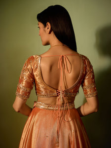 Light Salmon Tissue Lehenga Set