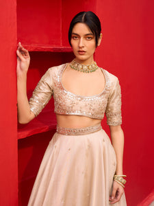 Kliantha Gold Tissue Lehenga Set