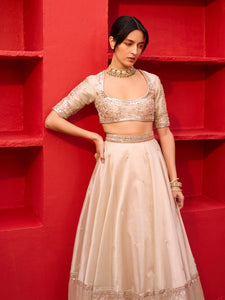 Kliantha Gold Tissue Lehenga Set