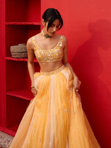 Dewdrop Honey Organza Lehenga Set