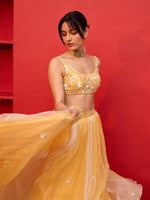 Load image into Gallery viewer, Dewdrop Honey Organza Lehenga Set
