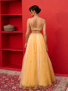 Dewdrop Honey Organza Lehenga Set