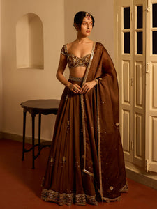 Chocolate Cosmos Organza Lehenga Set