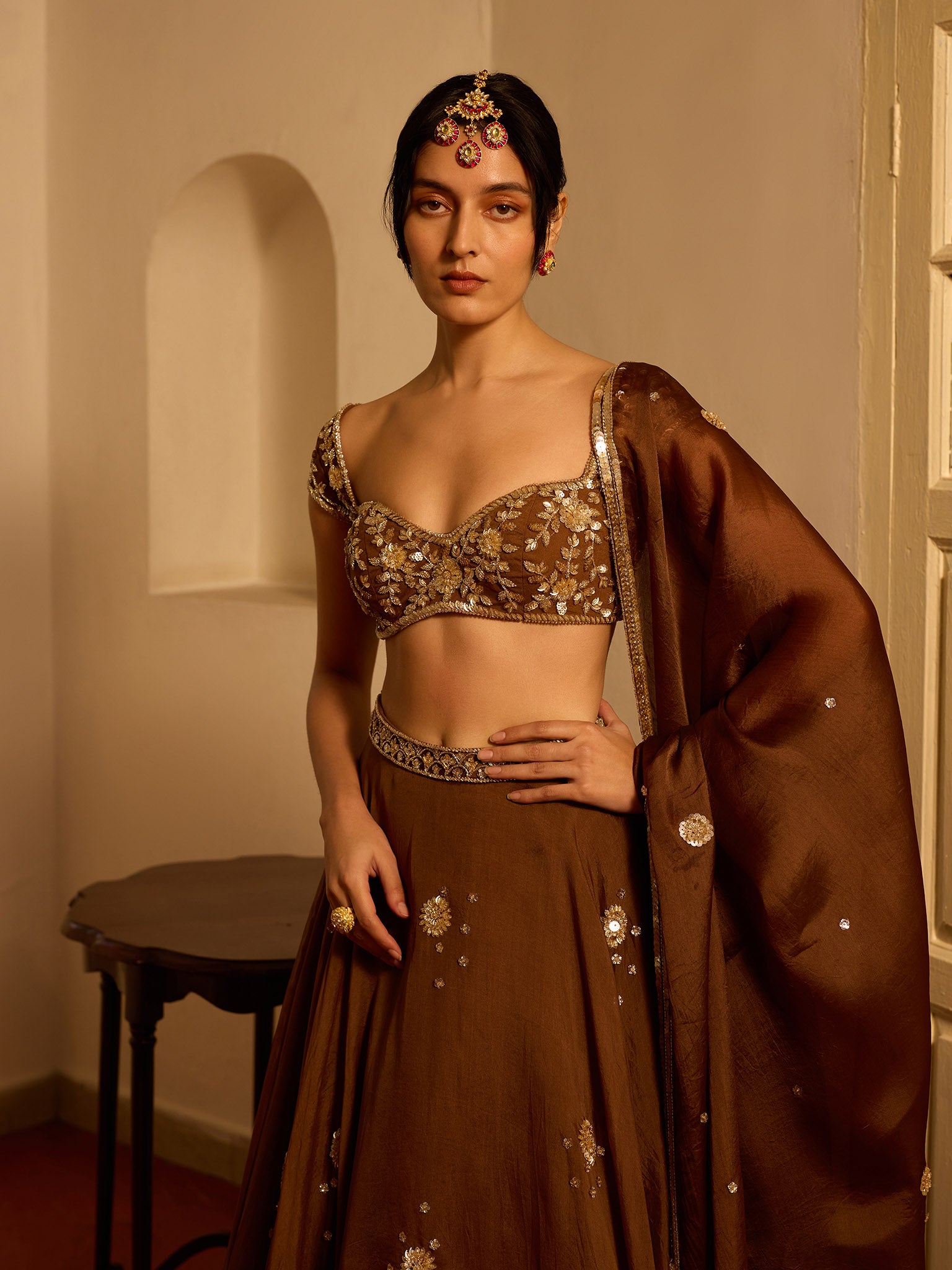 Chocolate Cosmos Organza Lehenga Set