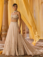 Load image into Gallery viewer, Moon Ash Organza Lehenga Set
