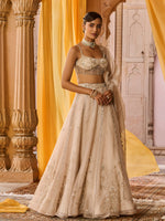 Load image into Gallery viewer, Moon Ash Organza Lehenga Set
