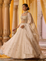 Load image into Gallery viewer, Moon Ash Organza Lehenga Set
