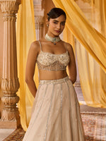Load image into Gallery viewer, Moon Ash Organza Lehenga Set
