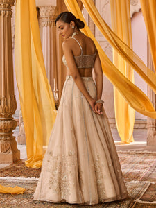 Moon Ash Organza Lehenga Set