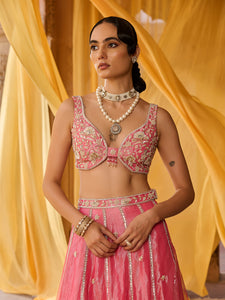 Elysia Pink Tissue Lehenga Set