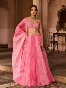 Petal Fade Organza Lehenga Set
