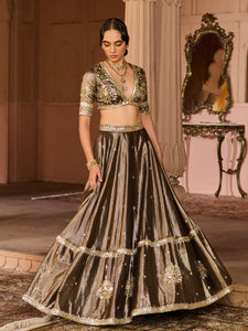Ember Tissue Lehenga Set