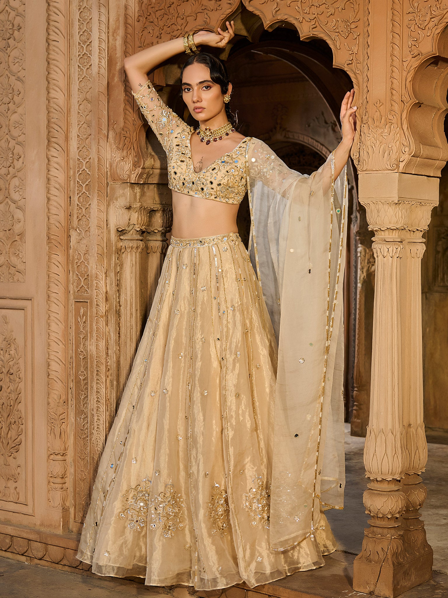 Gold Gaze Tissue Lehenga Set