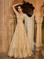 Load image into Gallery viewer, Gold Gaze Tissue Lehenga Set
