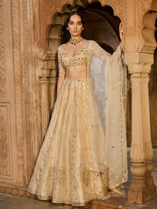 Gold Gaze Tissue Lehenga Set