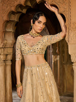 Load image into Gallery viewer, Gold Gaze Tissue Lehenga Set
