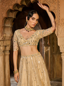 Gold Gaze Tissue Lehenga Set