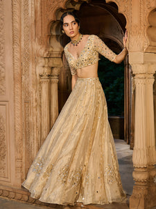 Gold Gaze Tissue Lehenga Set