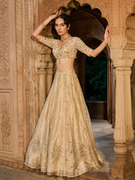 Load image into Gallery viewer, Gold Gaze Tissue Lehenga Set
