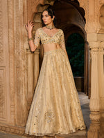 Load image into Gallery viewer, Gold Gaze Tissue Lehenga Set
