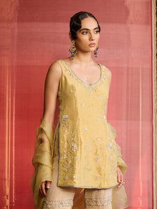 Elina Muted Lime Gold Sharara Set