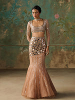 Load image into Gallery viewer, Halo Gold Lehenga Set
