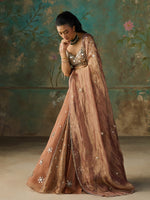 Load image into Gallery viewer, Miraya Brown Organza Lehenga Set
