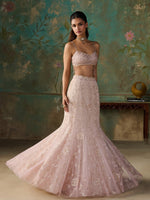 Load image into Gallery viewer, Elarose Vanilla Pink Lehenga Set
